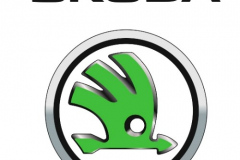 Skoda_ok
